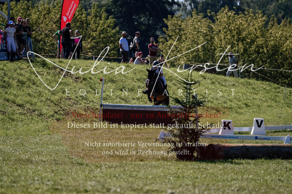 DSC_1502 | Pferde- und Turnierfotografie in Westsachsen. Pferdeportraits, Auftragszeichnungen und intuitive Kunst.