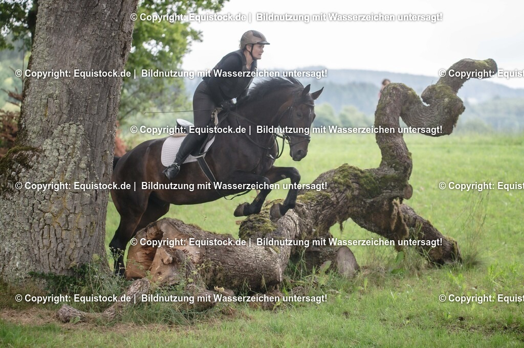 20250726_Vielseitigkeitslehrgang-Marbach_0444 | Foto: Thomas Hartig