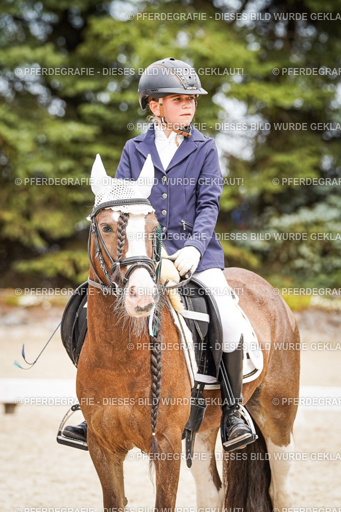 DSC04581 | Pferdegrafie