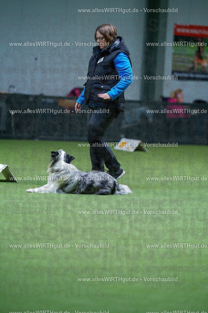 7R506286 | Professionelle Tierfotografie in Mönchengladbach von Daniel Wirth (allesWIRTHgut). Liebevolle & natürliche Bilder von Hunden & Katzen für unvergessliche Erinnerungen.