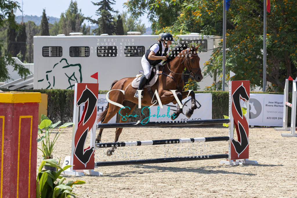 IMG_0446 | s-jay-photography - Realisiert mit Pictrs.com