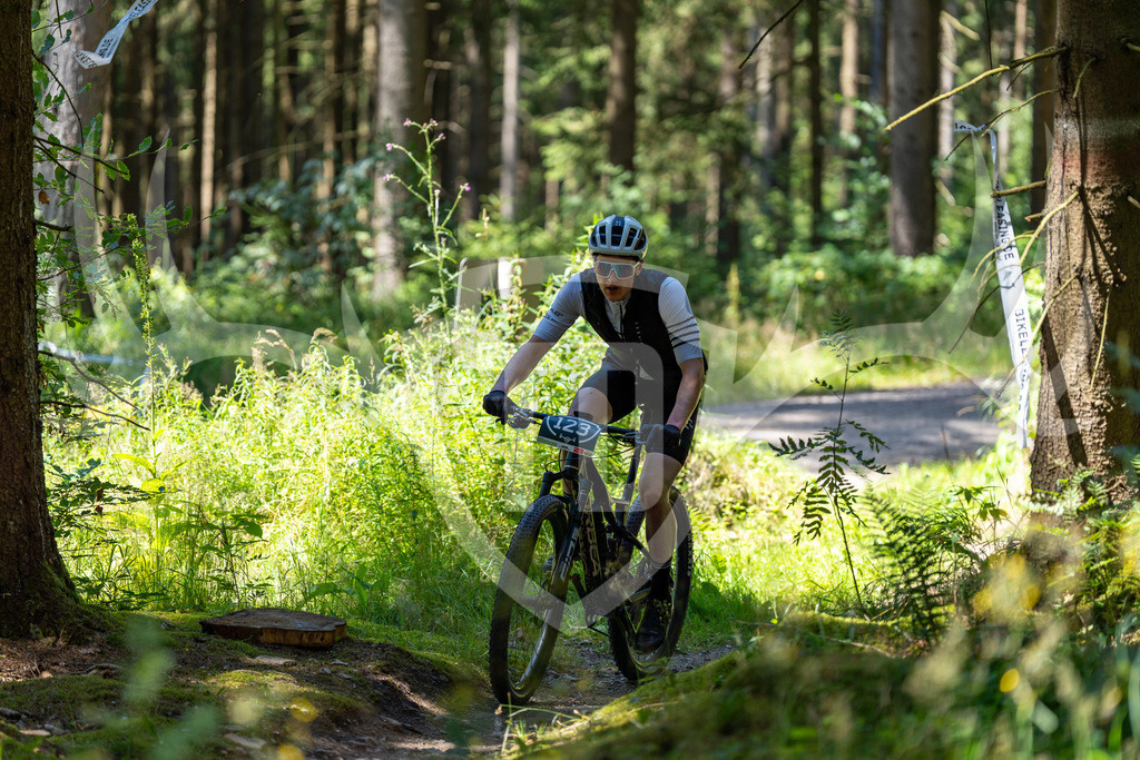 _DSC5366 | Fotogalerie der Treibjagd im Dunkelwald - Dein MTB Etappenrennen im Erzgebirge - Realisiert mit Pictrs.com