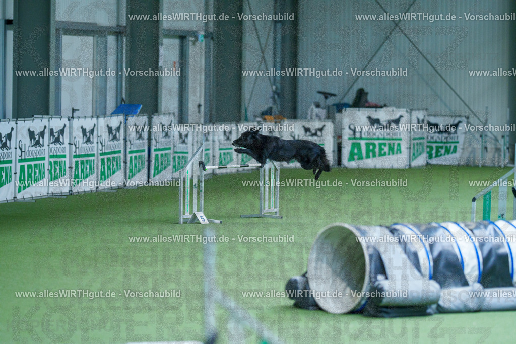 @allesWIRTHgut_Tierfotografie - www.allesWIRTHgut.de - 2604261406-7R503425 | Professionelle Tierfotografie in Mönchengladbach von Daniel Wirth (allesWIRTHgut). Liebevolle & natürliche Bilder von Hunden & Katzen für unvergessliche Erinnerungen.