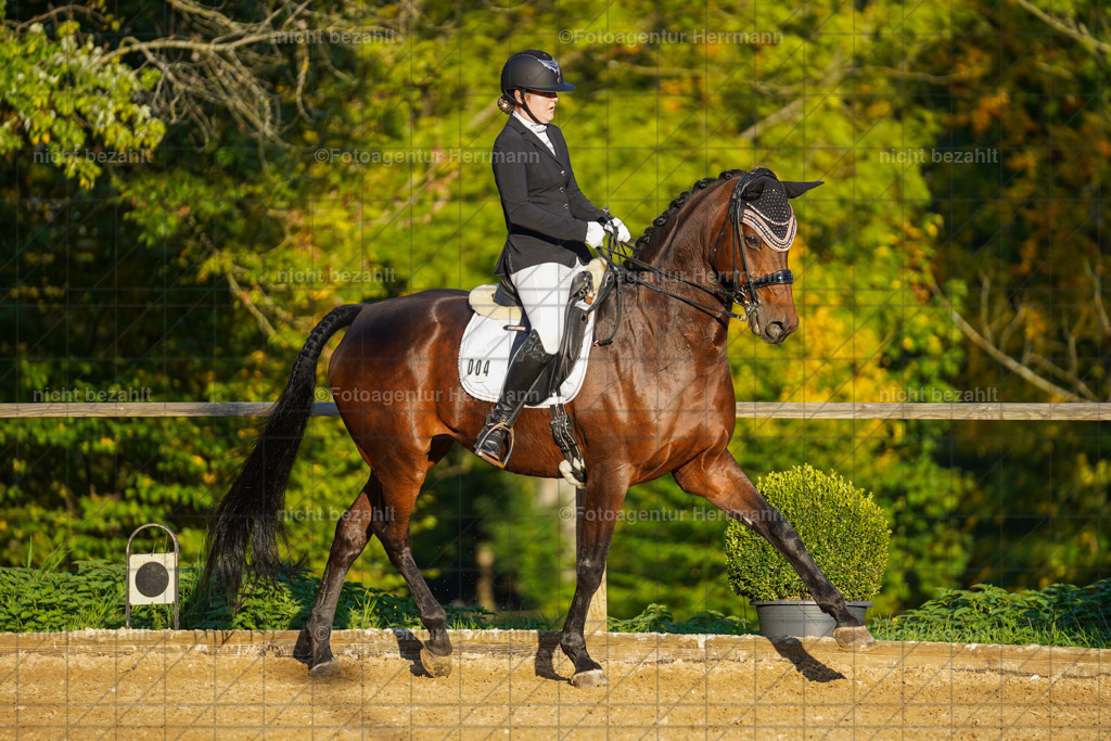 20221007-FAH00411 | Diessen am Ammersee, 2022, Dressur- und Springturnier, Reitsportbilder, Turnierfotografen Bayern, Pferdefotografen, Fotoagentur Herrmann, Turnierbilder