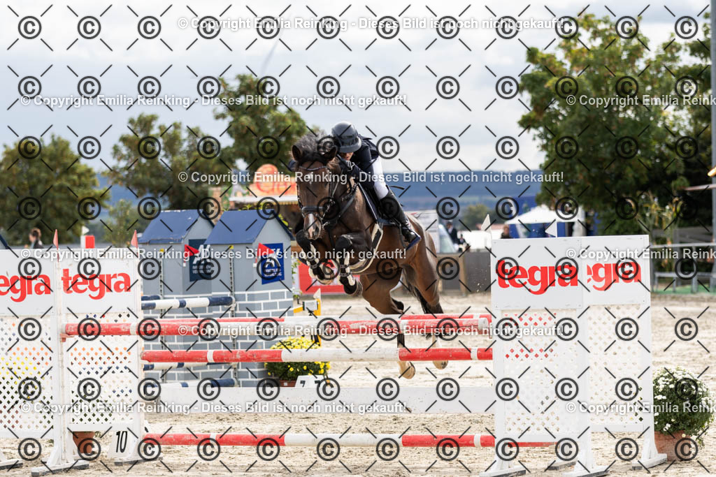 CL5A9897 | Emilia Reinking Fotografie - Realisiert mit Pictrs.com