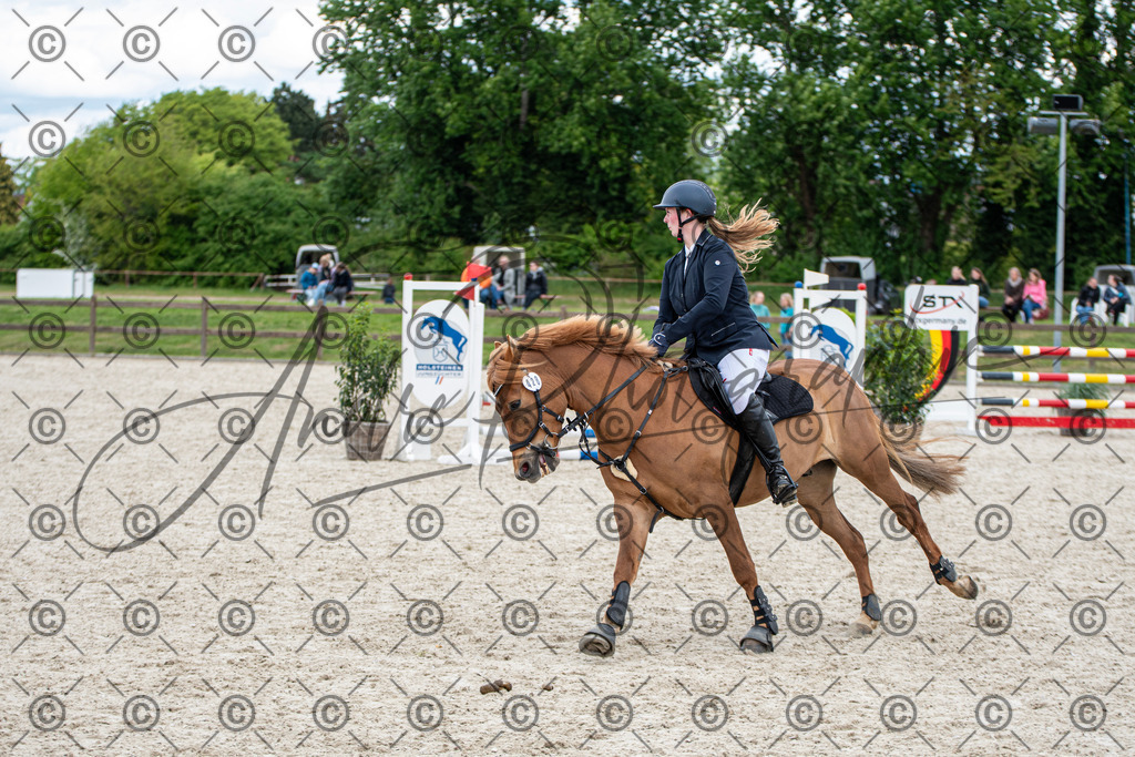 KPT_6402 | andre_photographic