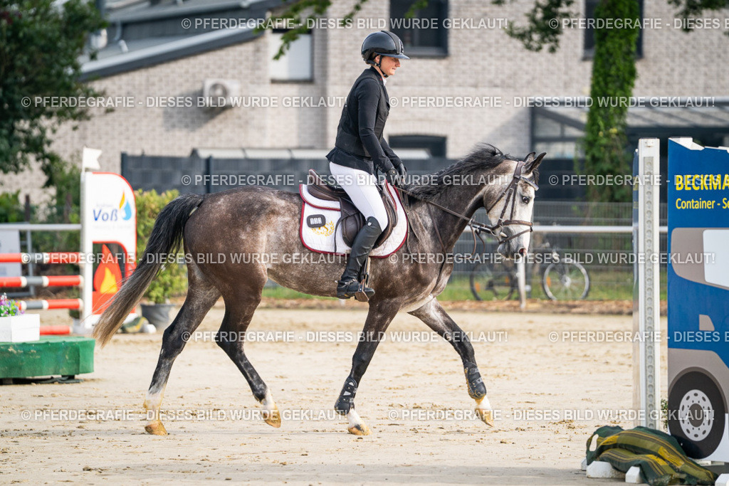 DSC08972 | Pferdegrafie