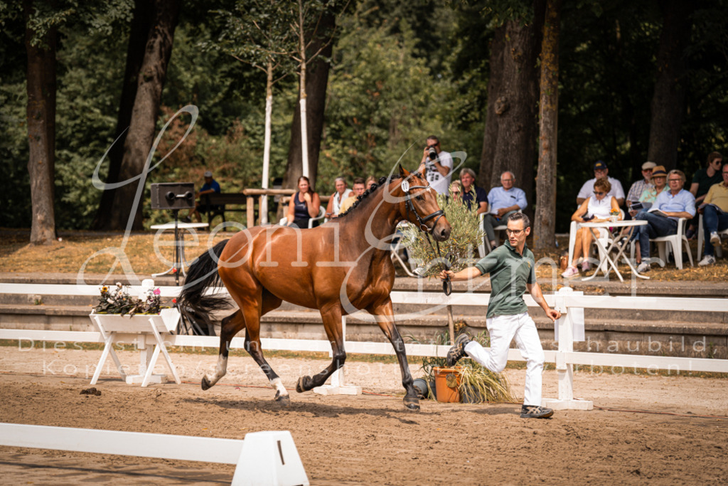 2. Fr00070 | Leoni Ertmer Photography - Realisiert mit Pictrs.com