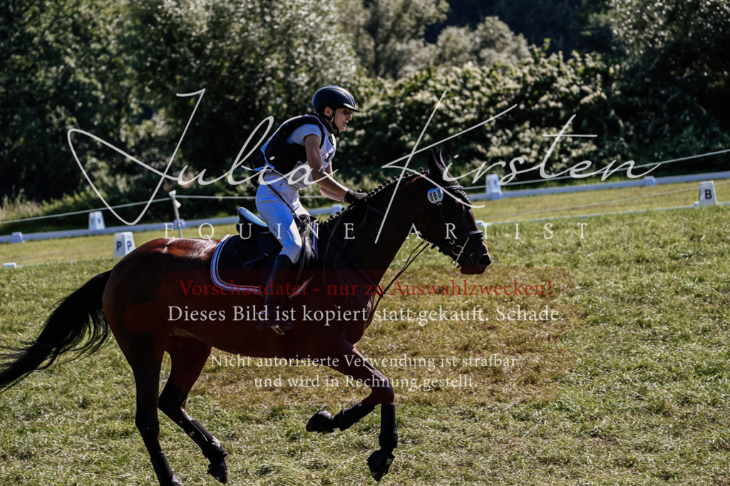 DSC_1768 | Pferde- und Turnierfotografie in Westsachsen. Pferdeportraits, Auftragszeichnungen und intuitive Kunst.