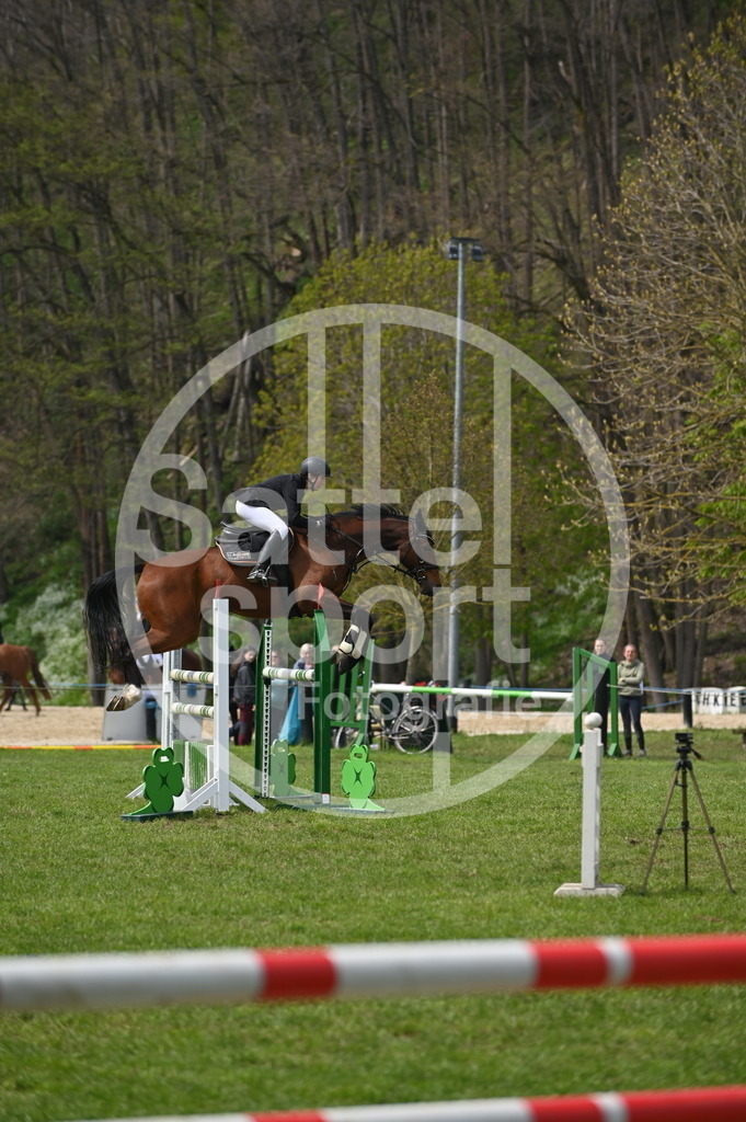 DSC_2763 | sattelsport - Realisiert mit Pictrs.com