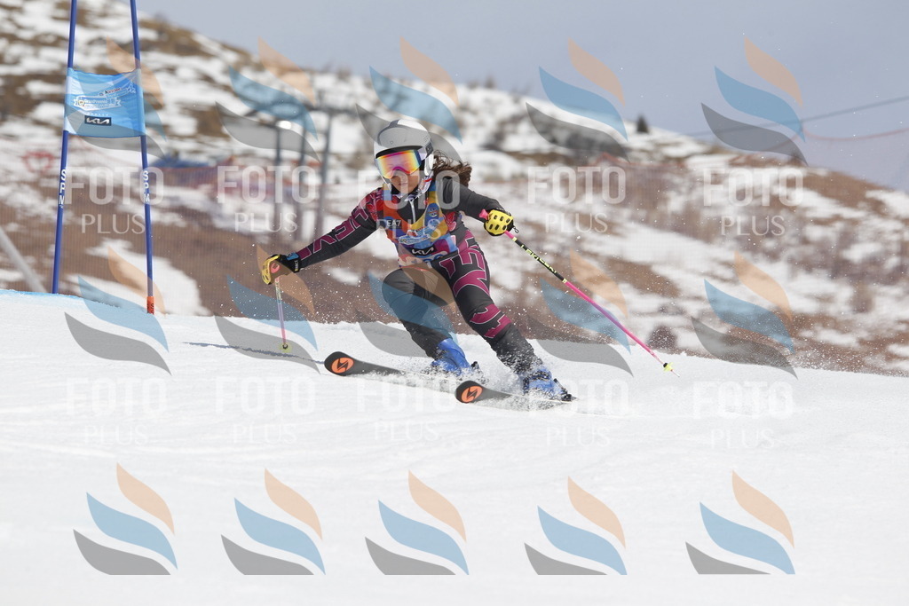 _U3G1460 | holidayphoto