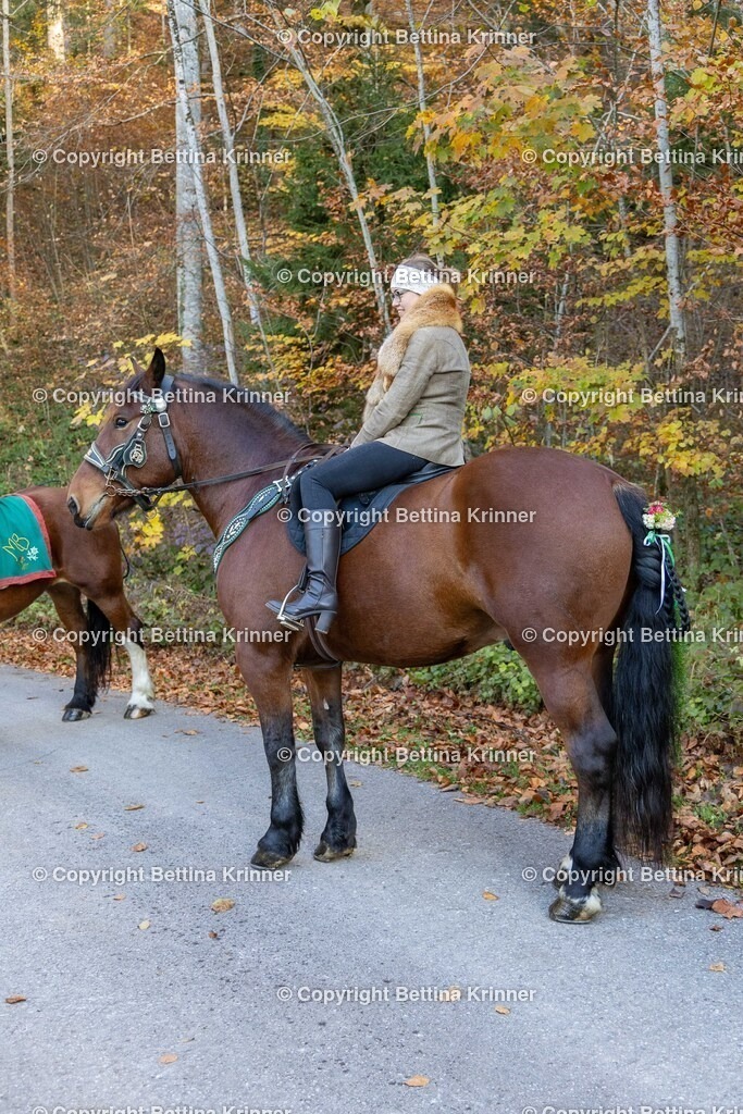 LL24-269 | foto-bettina-krinner - Realisiert mit Pictrs.com