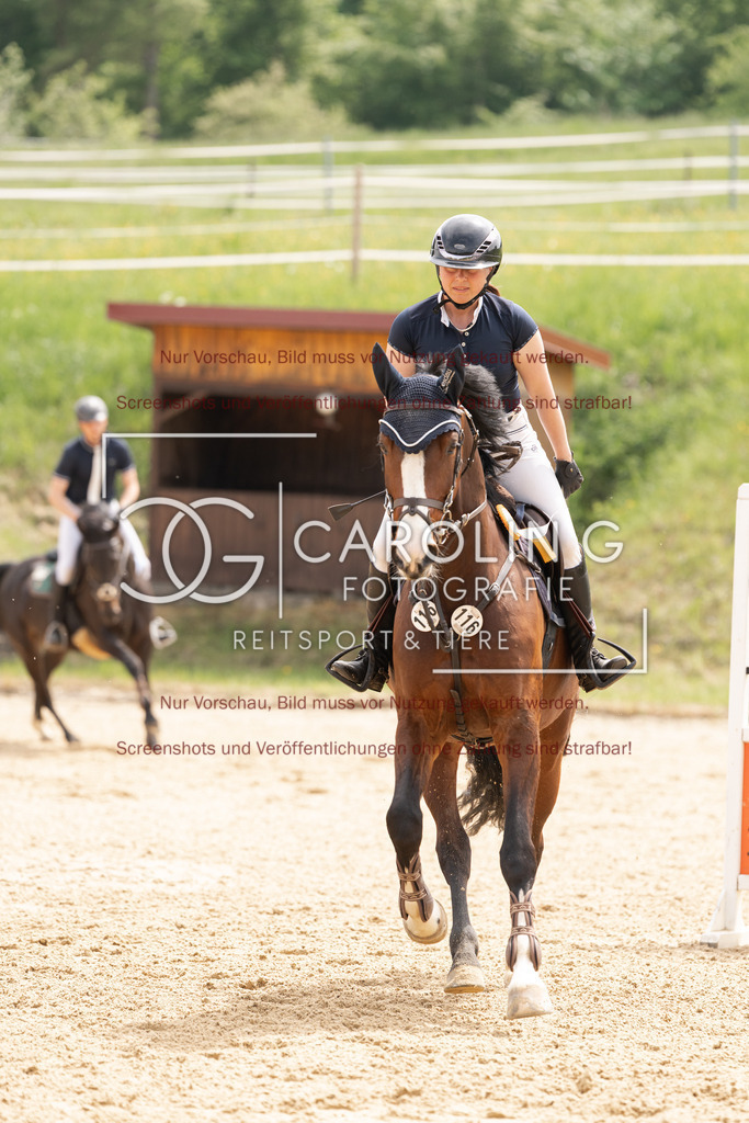 DSC06838 | Springturnier_Ehingen_Mai_2026, Miriam_Bohn, Karlshofs_Nele_FBW