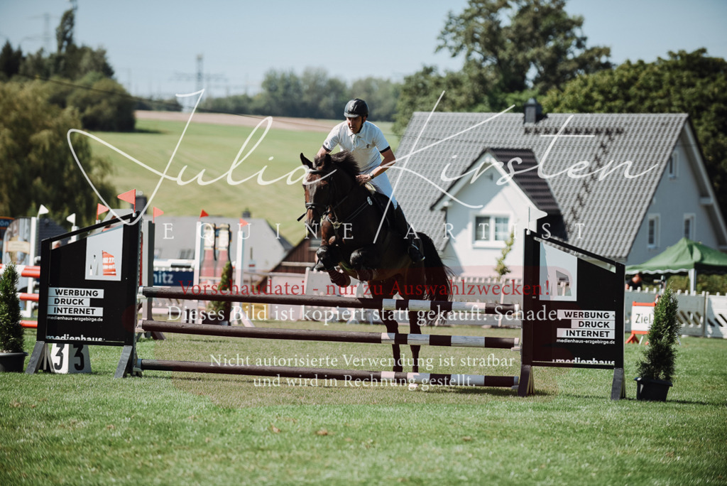 DSC_3034 | Pferde- und Turnierfotografie in Westsachsen. Pferdeportraits, Auftragszeichnungen und intuitive Kunst.