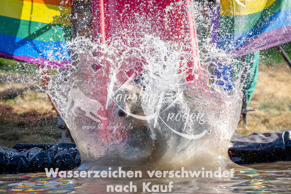 1635_ZZ90161 | kk-dogfotos