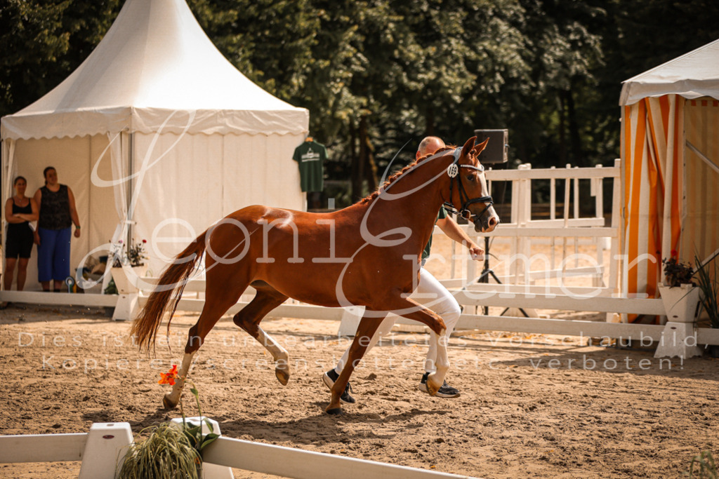 11.So00072 | Leoni Ertmer Photography - Realisiert mit Pictrs.com