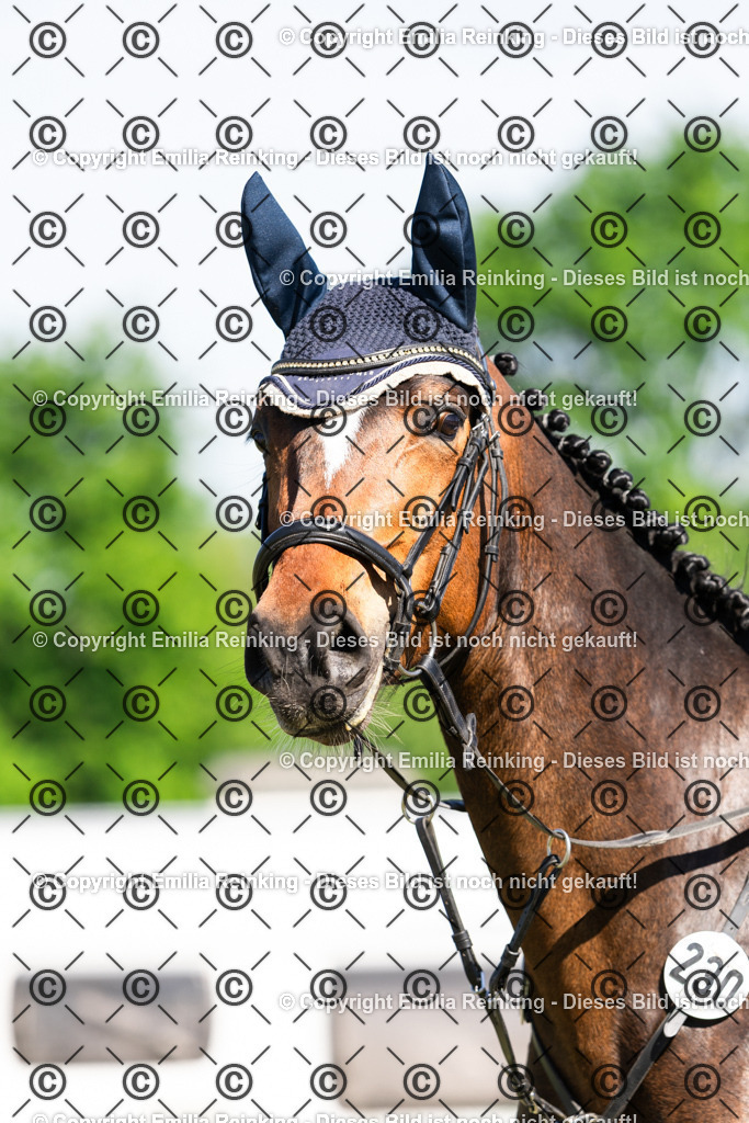 CL5A8149 | Emilia Reinking Fotografie - Realisiert mit Pictrs.com