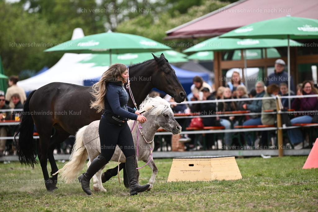 PI26_Show_Sara_Landvogt_226_1087.JPG | working equitationturnier fotograf videograf stoibphotography marixx film working equitation deutschland reitsport turnierfotografie eventfotografie equestrian events