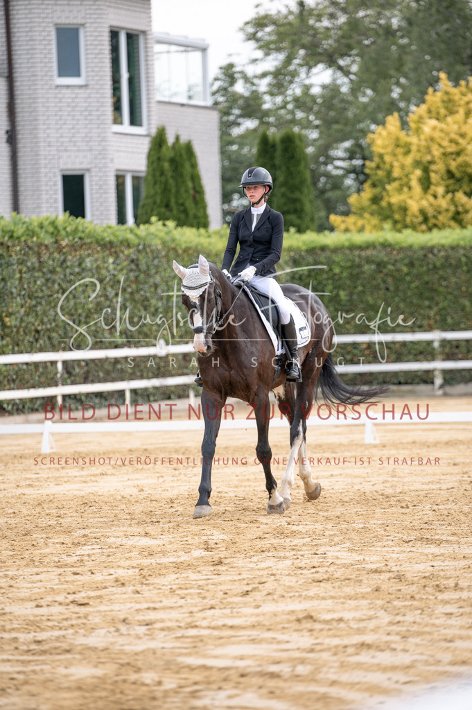 Schugtsche-Aluta25-40.DressurprfA_-263 | Schugtsche Fotografie - Realisiert mit Pictrs.com