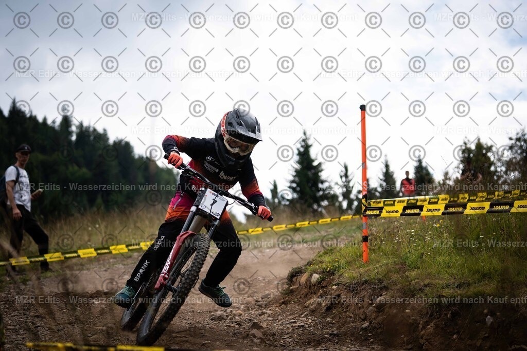 x-248 | mzredits - Realisiert mit Pictrs.com