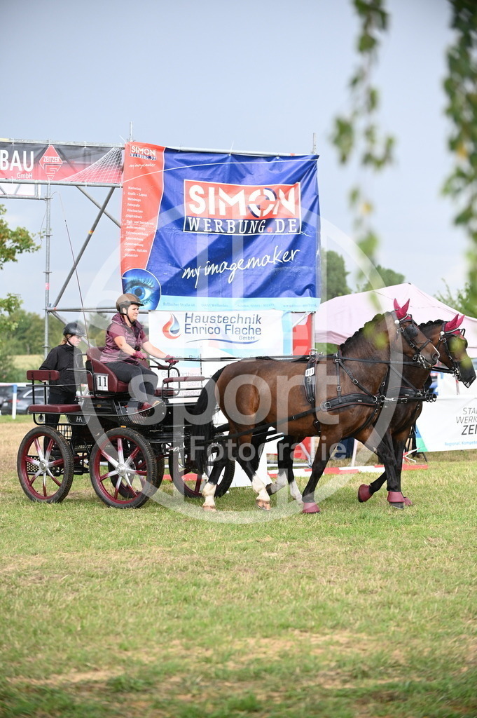 DSC_8740 | sattelsport - Realisiert mit Pictrs.com