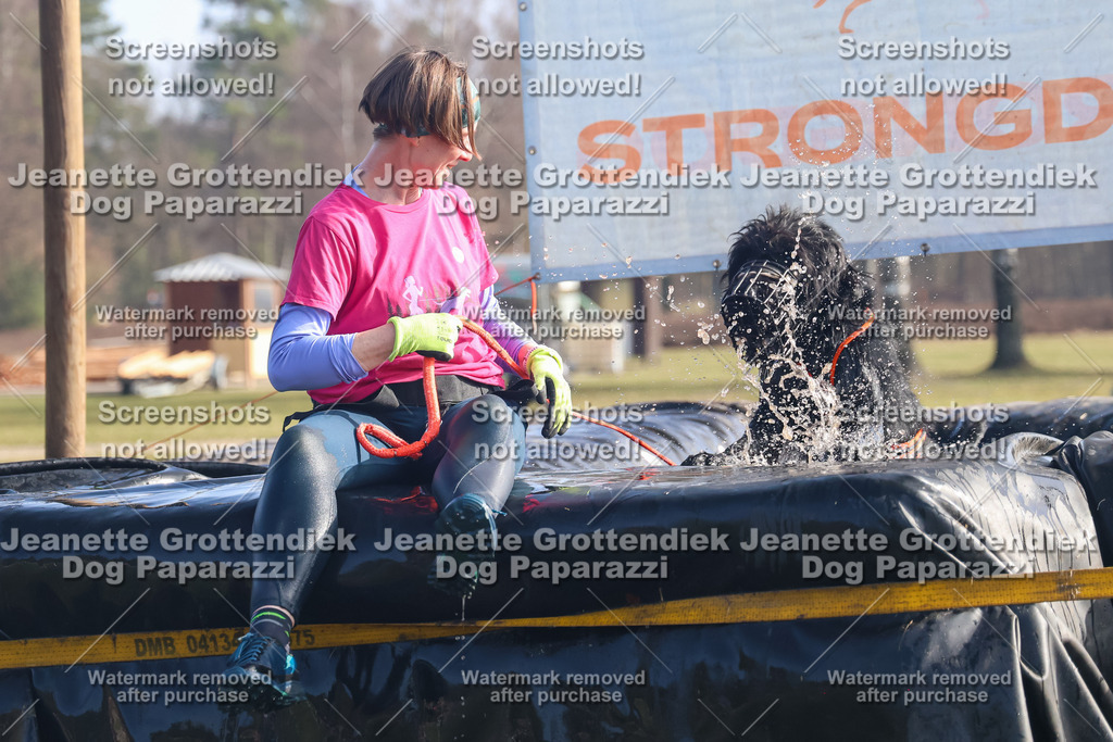 Dog Paparazzi - Strongdog North Mrz26-908 | Dog Paparazzi Jeanette Grottendiek Fotografie & Videografie - Realisiert mit Pictrs.com
