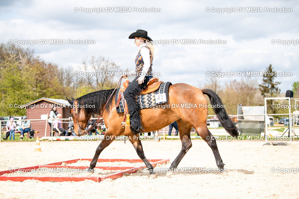 Heiligenwald Tag 1-737 | dv-media-shop - Realisiert mit Pictrs.com