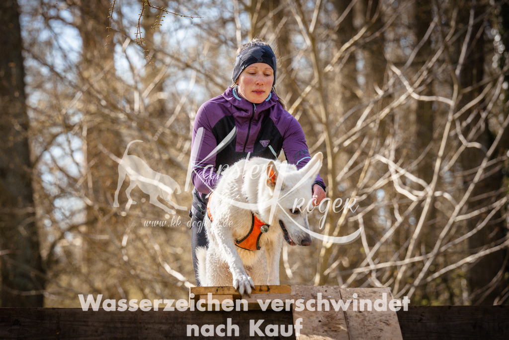 0908_ZZ93819 | kk-dogfotos