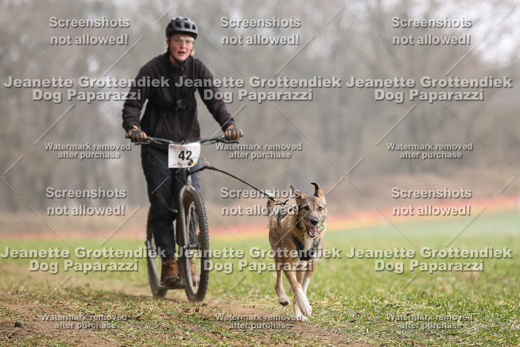 Dog Paparazzi - Plate 2026-134 | Dog Paparazzi Jeanette Grottendiek Fotografie & Videografie - Realisiert mit Pictrs.com