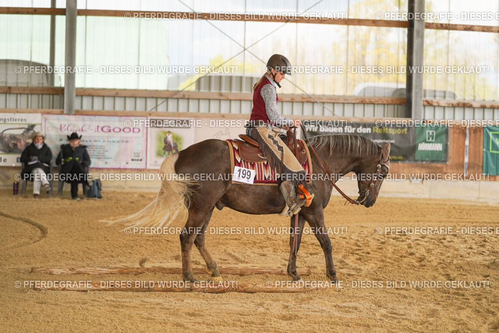 DSC05586 | Pferdegrafie