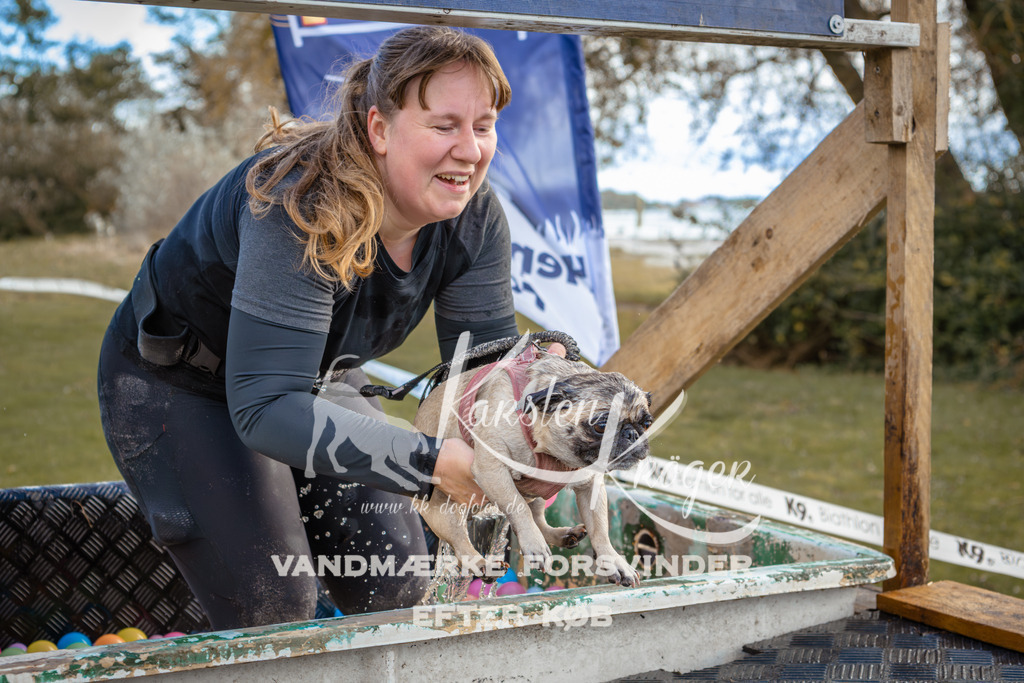 1509_ZZ95965 | kk-dogfotos