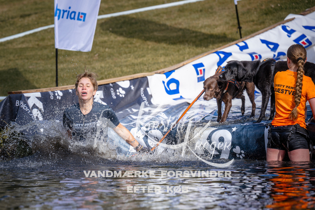 _ZZ988470811 | kk-dogfotos