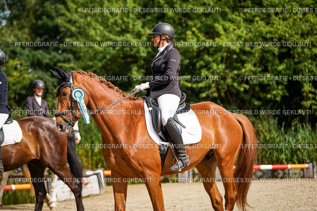 DSC02460 | Pferdegrafie