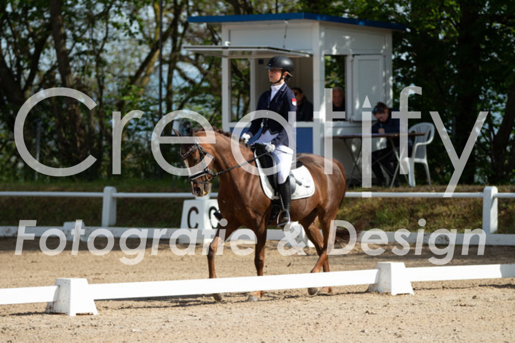 IMG_3452 | Creatify Fotografie