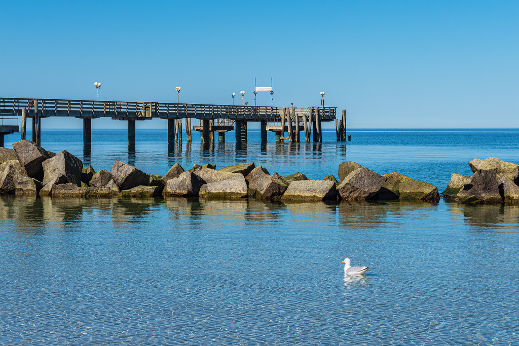 Möwe und Seebrücke an der Ostseeküste in Wustrow auf dem Fischland-Darß | Möwe und Seebrücke an der Ostseeküste in Wustrow auf dem Fischland-Darß.