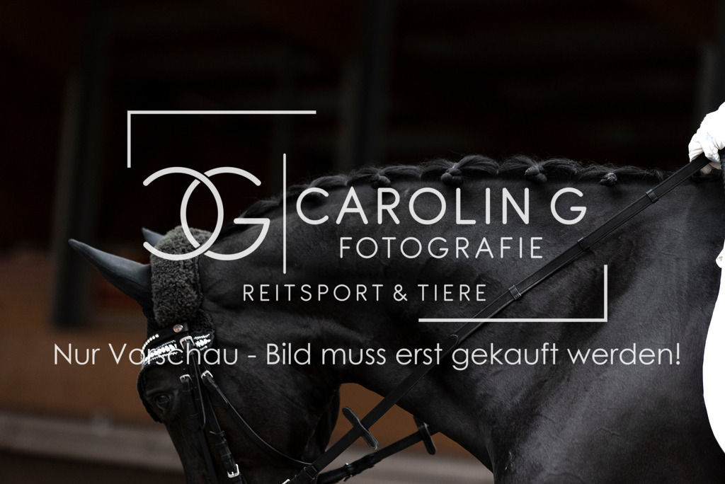 DSC_0850 | Turnierfotografin Carolin Gieschke, Turnierfotografie Carolin G Fotografie, Turnierfotos Kirchheim/Teck, Esslingen, Stuttgart, Bodenseekreis