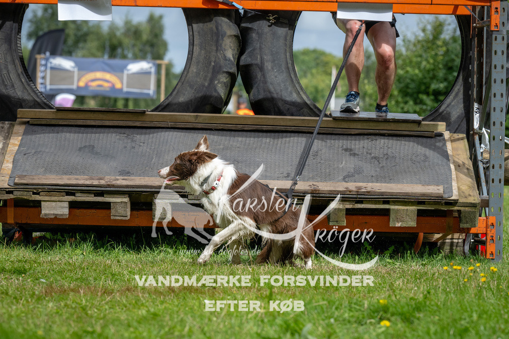 1147_ZZ93010 | kk-dogfotos