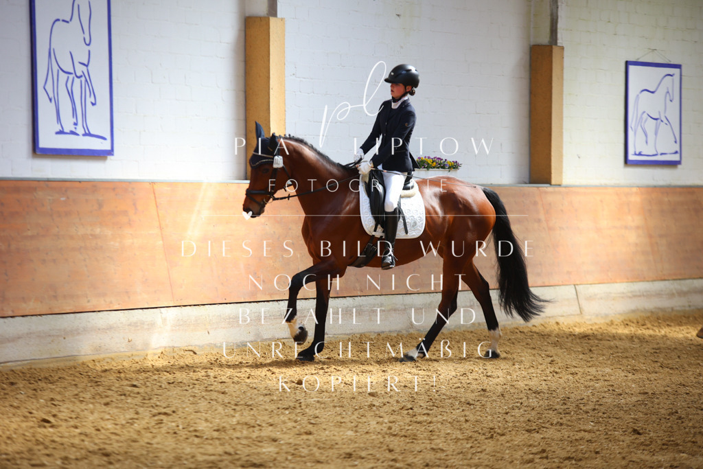 IMGT3555 | pl-fotografie