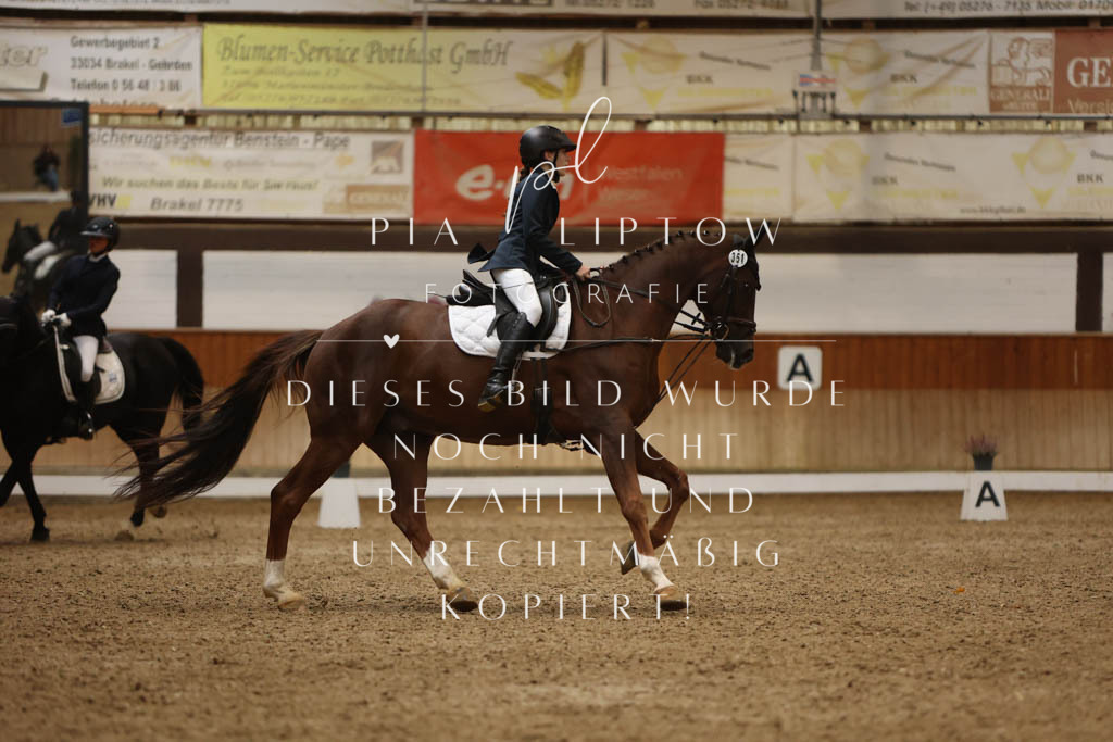 IMGM8441 | pl-fotografie