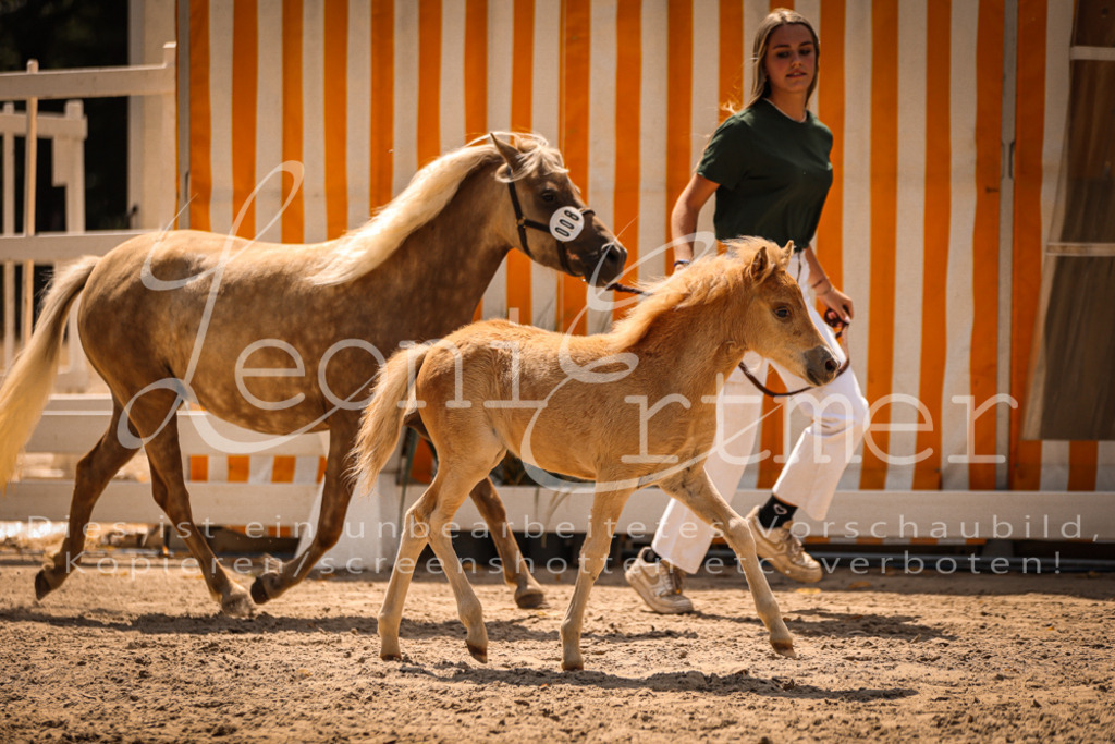 02.DoSR00046 | Leoni Ertmer Photography - Realisiert mit Pictrs.com