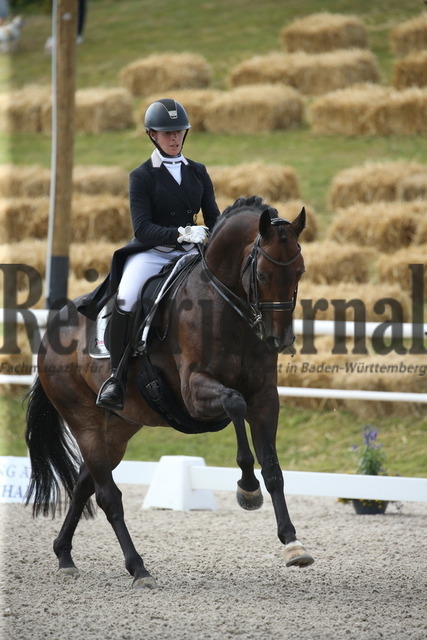 Birkhof_2022_GrandPrixSpecial_Nicole Isser_DiCaprio 4 (19) | Alle Fotos der Reiterjournal Fotografin Doris Matthaes im Reiterjournal Online-Fotoshop. - Realisiert mit Pictrs.com