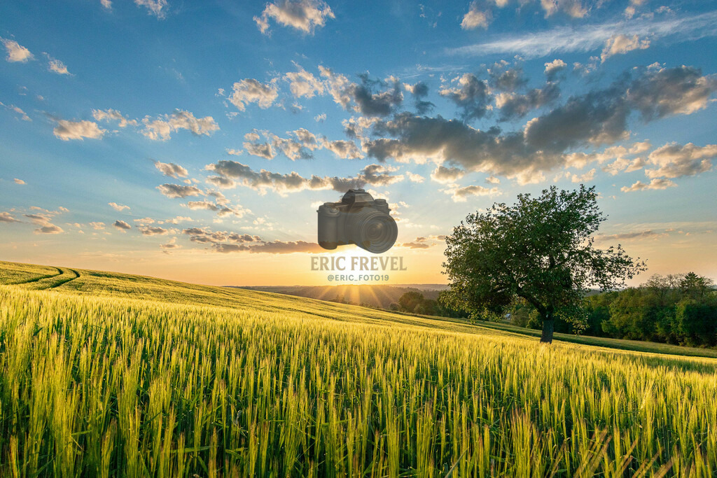 _MG_0314 | Photography by Eric Frevel - Realisiert mit Pictrs.com