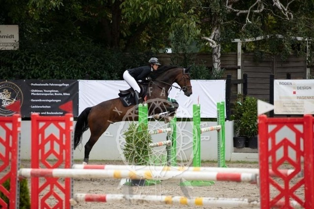 2B4A3503 | pixelfaenger - Realisiert mit Pictrs.com