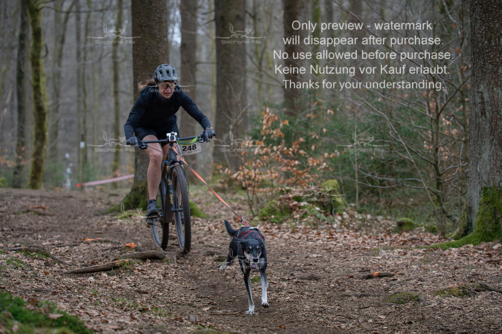 Bike_So-82 | stephaniefillaphotographie - Realisiert mit Pictrs.com