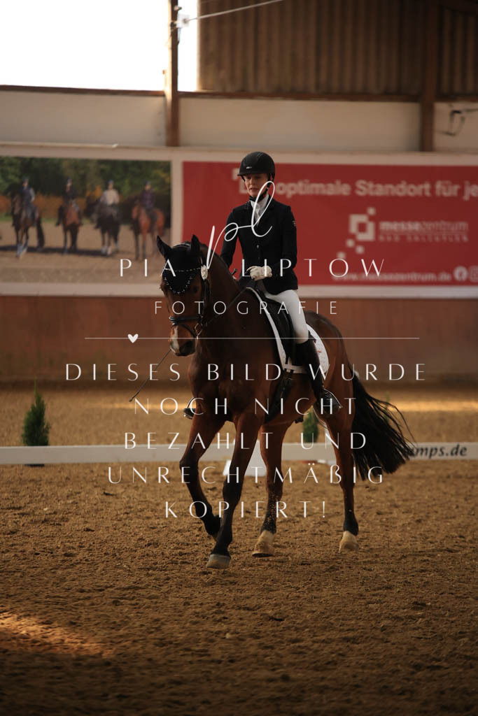 IMGT7542 | pl-fotografie