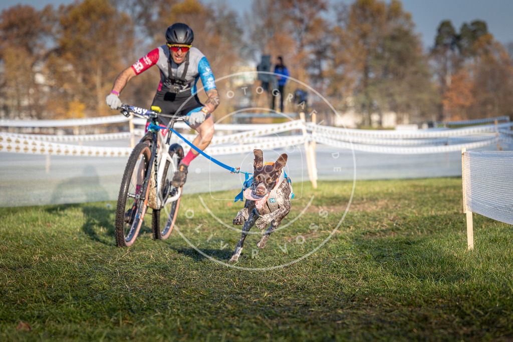 CaniXpix_0L8A3829 | Hundefotografie, Tierfotograf, Pfotenfotografie, Fotoshooting Hund, Hunde Portrait, Hundesport, Hundeportraits, Heideshooting, Hunde, Sportfotograf, Hundefotograf, Turnierhundsport, THS,  - Realisiert mit Pictrs.com