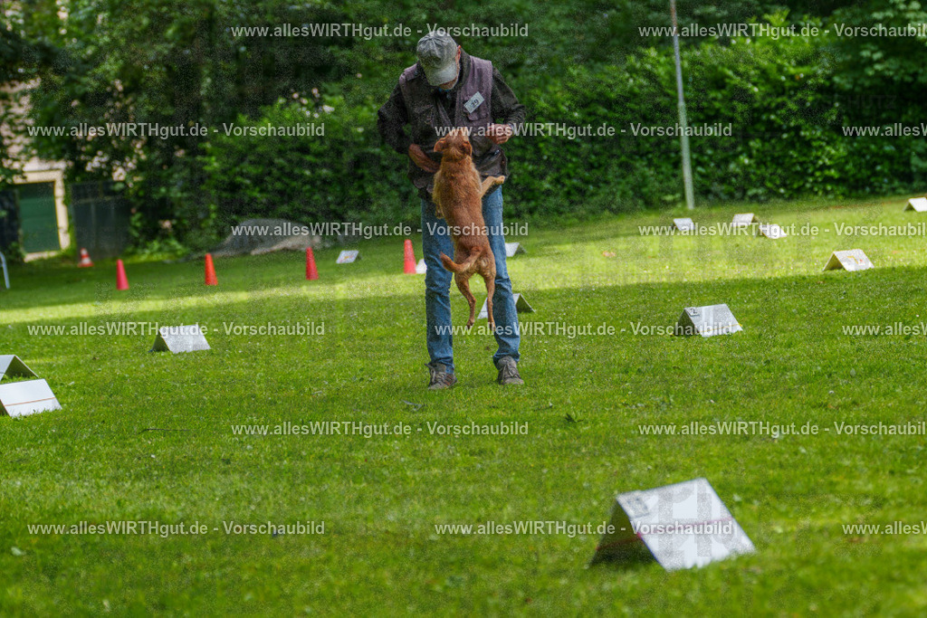 @allesWIRTHgut_Tierfotografie - www.allesWIRTHgut.de - 7R504258 | Professionelle Tierfotografie in Mönchengladbach von Daniel Wirth (allesWIRTHgut). Liebevolle & natürliche Bilder von Hunden & Katzen für unvergessliche Erinnerungen.