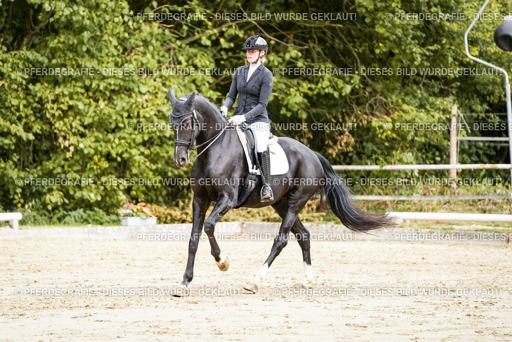 DSC03575 | Pferdegrafie