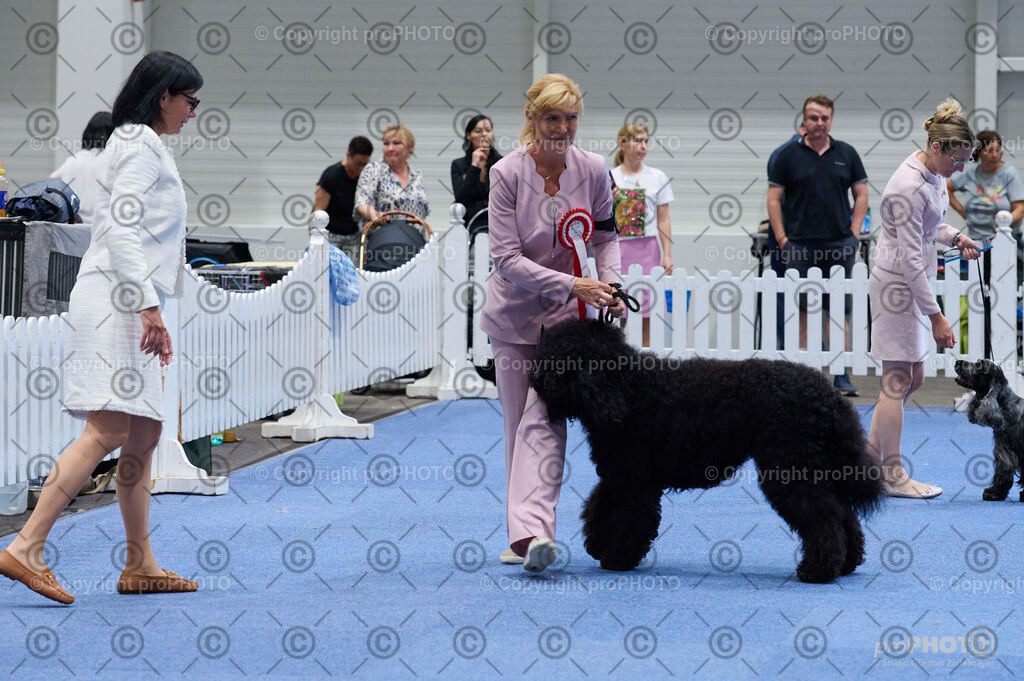 202406_ÖKV-IHA-Tulln24_DSC_5113 | proPHOTO - Realisiert mit Pictrs.com