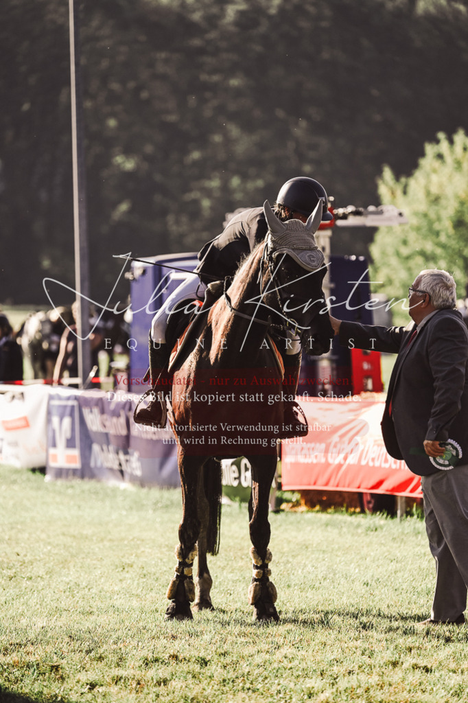 DSC_4624 | Pferde- und Turnierfotografie in Westsachsen. Pferdeportraits, Auftragszeichnungen und intuitive Kunst.